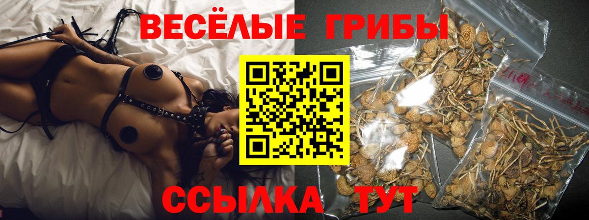 Орск  Псилоцибиновые грибы Psilocybe  Галлюциногенные грибы MAGIC MUSHROOMS  Вход с VPN 