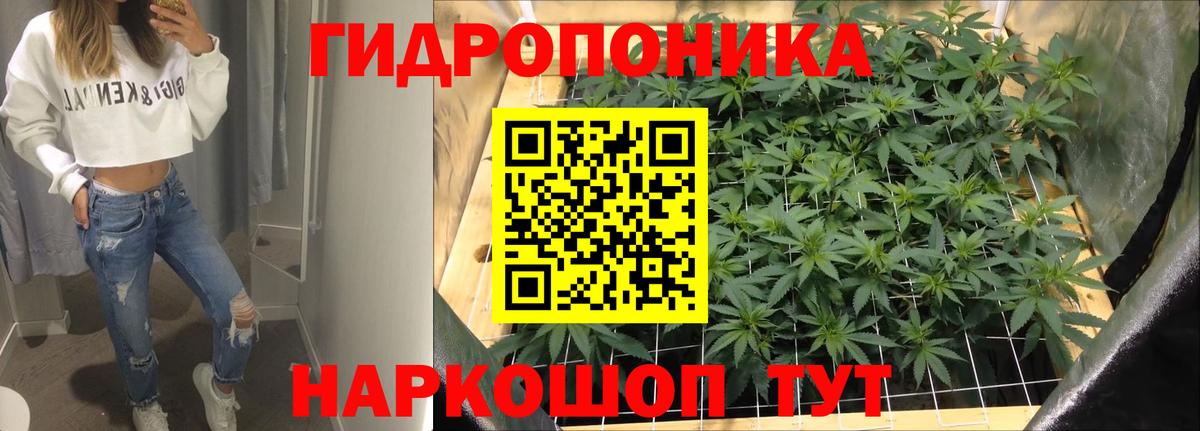 Кодеин  Каннабис  Метадон  Alpha PVP СК кристаллы  ГАШ  ТГК  Кокаин  Орск  Меф  