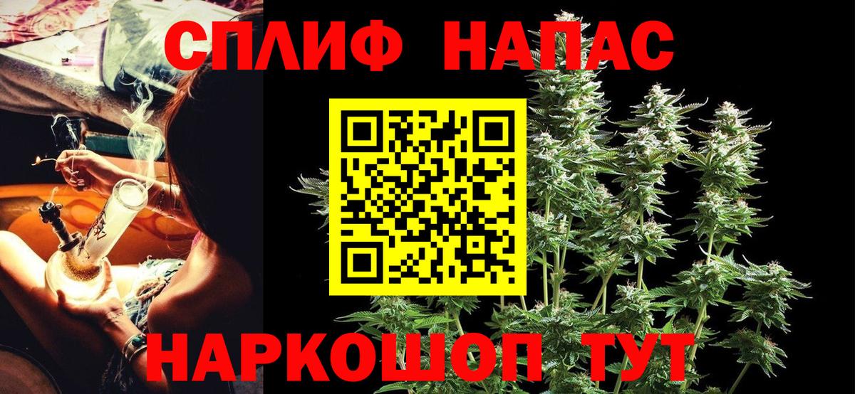МАРИХУАНА сатива Орск